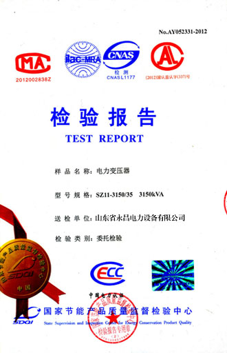 咸宁电力变压器检测报告